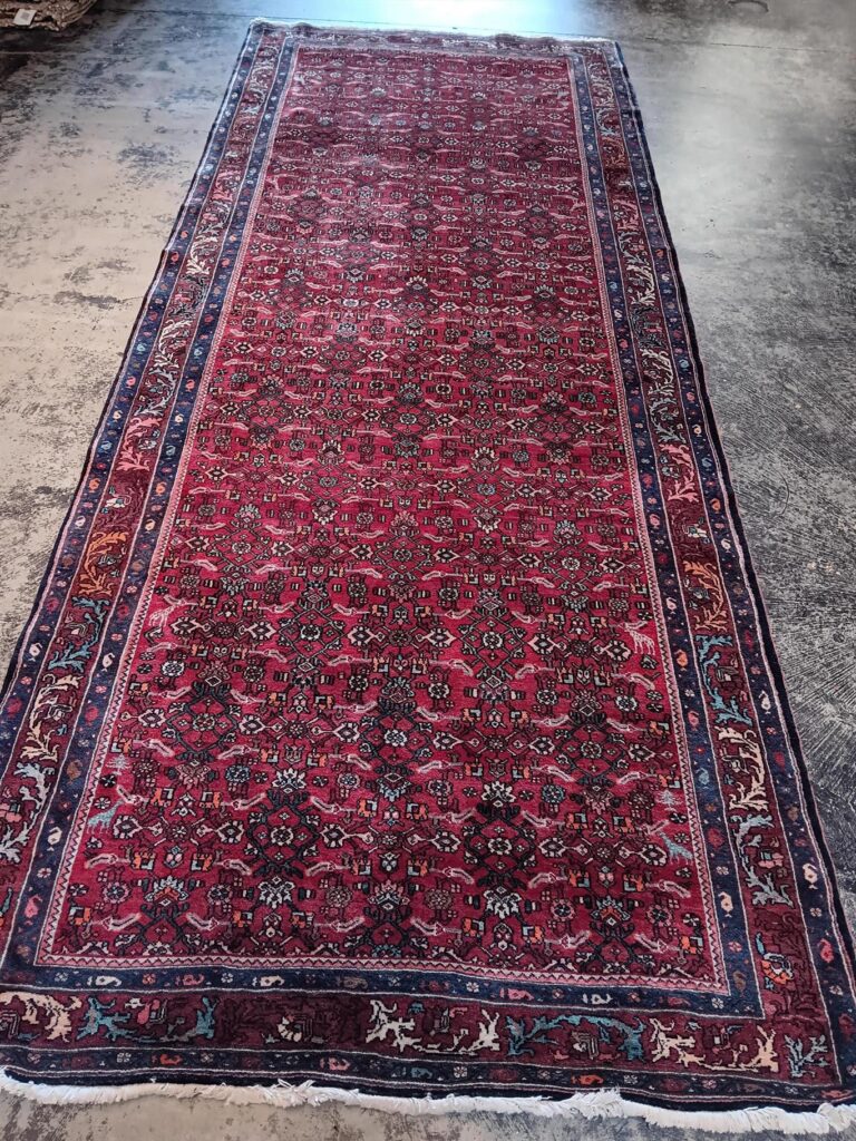 5' 03" x 13' 02" Wool Bidjar Rug- 270