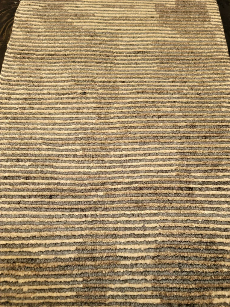 2' 00" x 3' 00" Cotton Hand knotted Rug